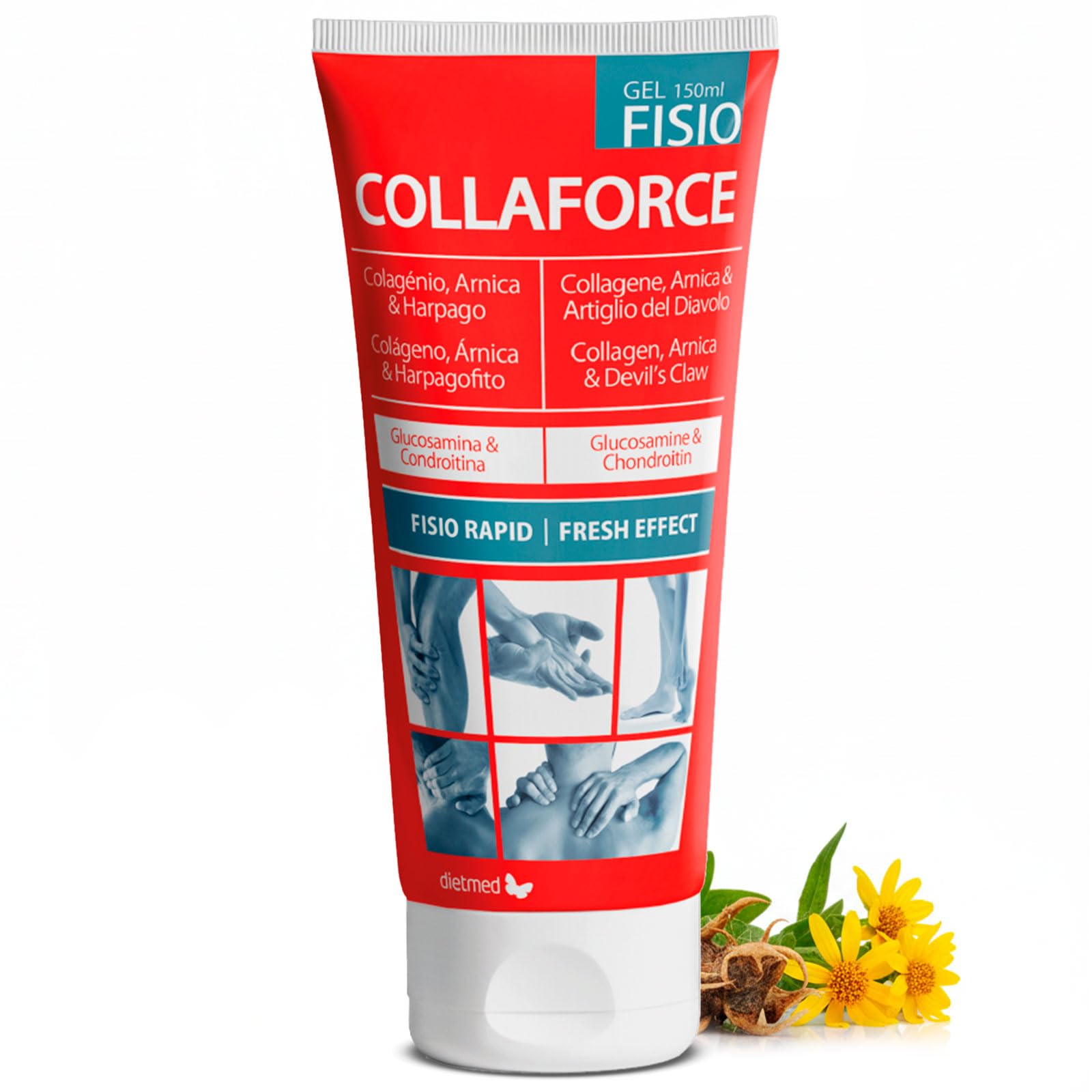DietMed Collaforce Fisio - Gel Efecto Frío 150 ml - Colágeno, Árnica y Harpagofito - Con Glucosamina y Condroitina - Mentol, Alcanfor y Eucalipto - Absorción Rápida - Ideal Masaje Deportivo