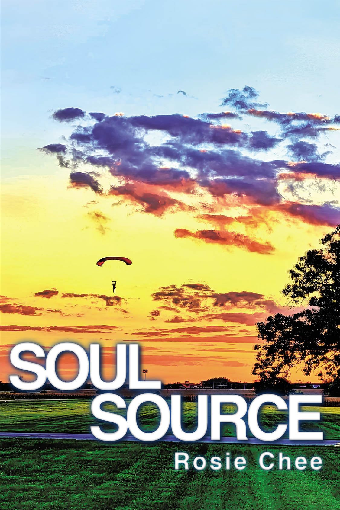 Soul Source: A Soul Series Volume (English Edition)