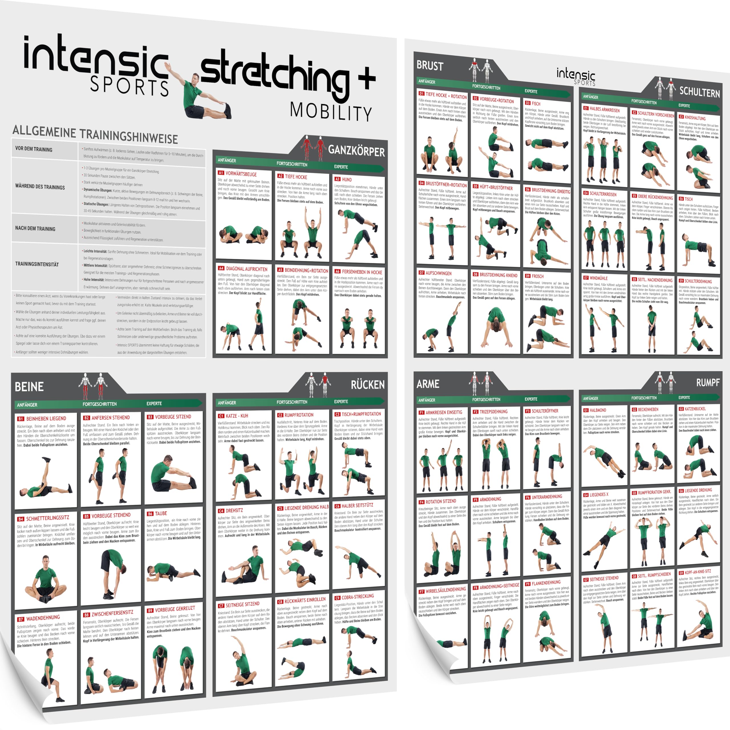 Estiramiento + Movilidad Póster | 60 Ejercicios de Fitness para Estirar y Movilizar I Más Agilidad Sin Dispositivo para Gimnasio Hogar Bodyweight Home Plan de Entrenamiento Plan de